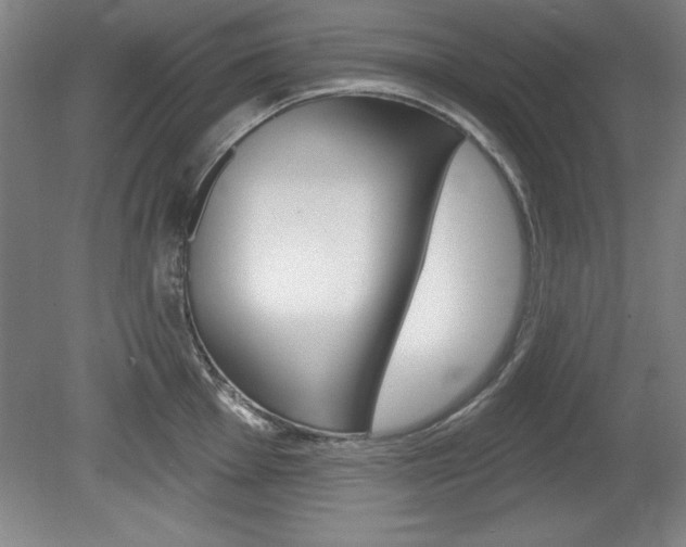 X0000078831001200611130927