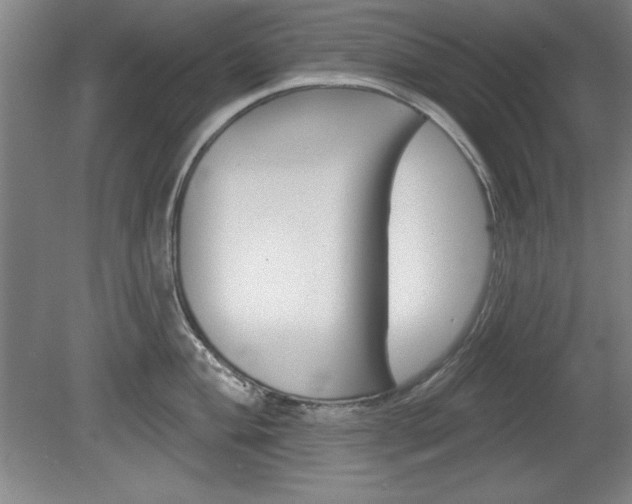 X0000078831004200611130927
