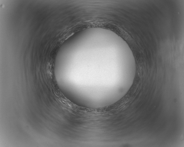 X0000078831010200611130926