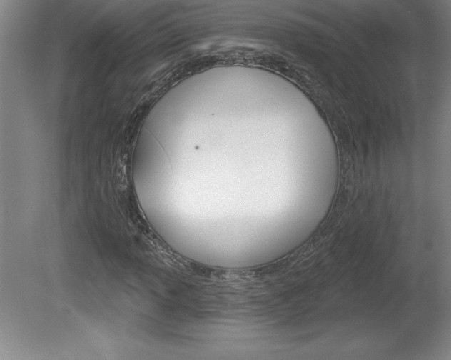 X0000078831013200611130926