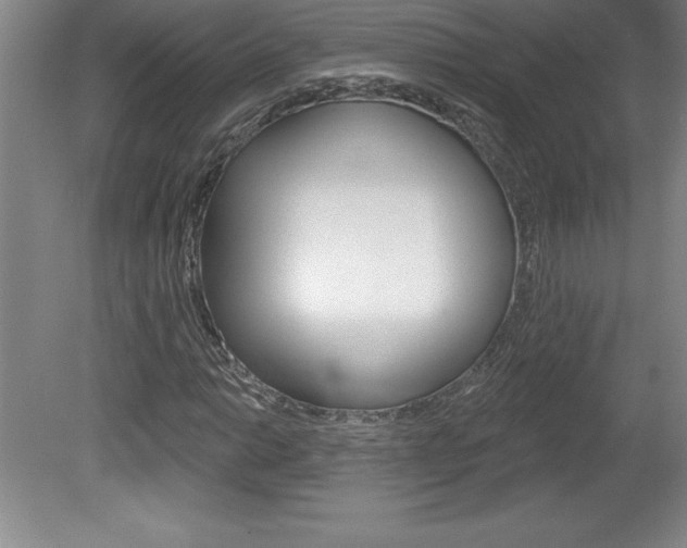 X0000078831014200611130926
