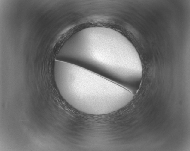 X0000078831016200611130926