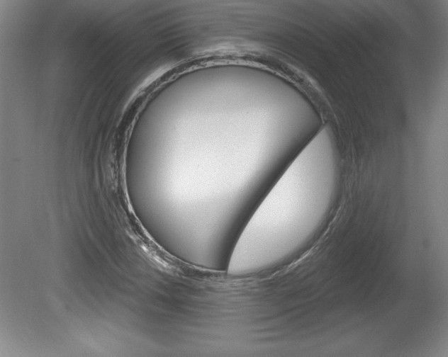 X0000078831018200611130926
