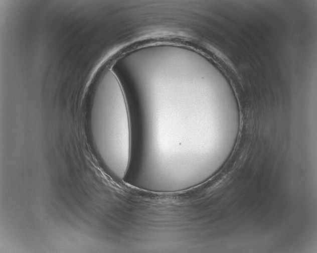 X0000078831021200611130926