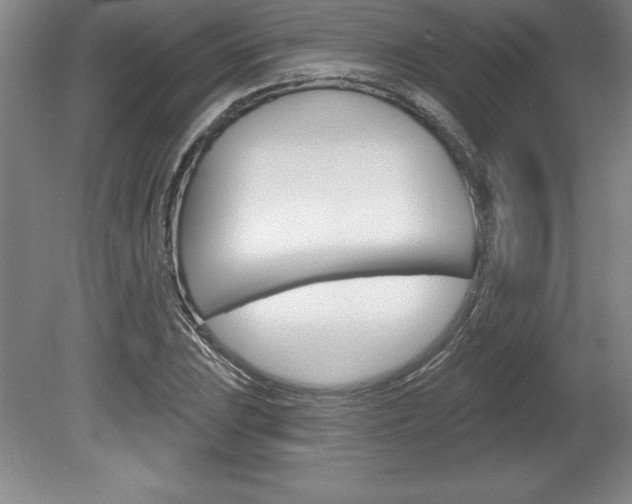 X0000078831023200611130926