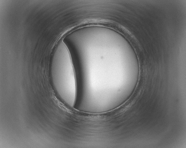 X0000078831025200611130926