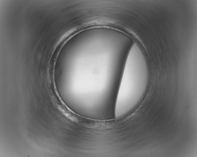X0000078831026200611130926