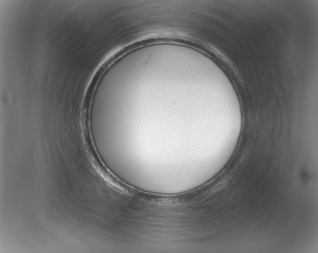 X0000078831029200611130926