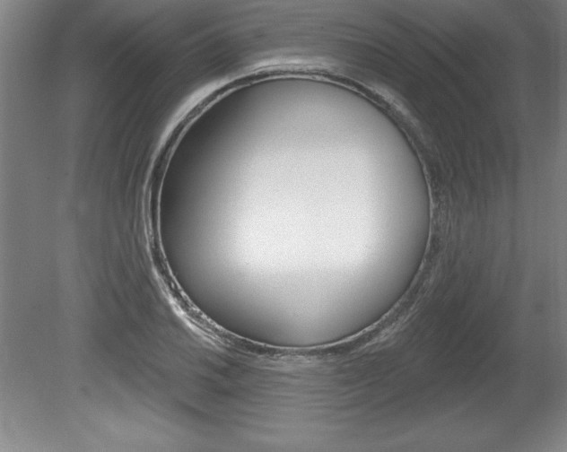 X0000078831030200611130926