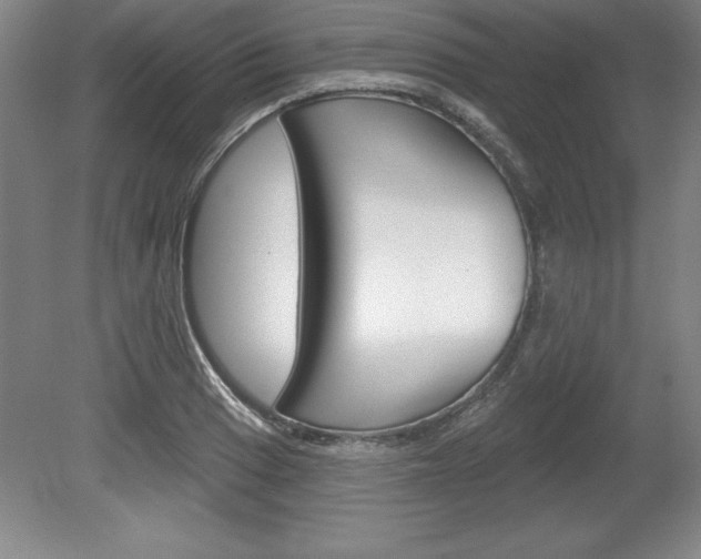 X0000078831033200611130926