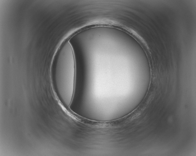 X0000078831037200611130926