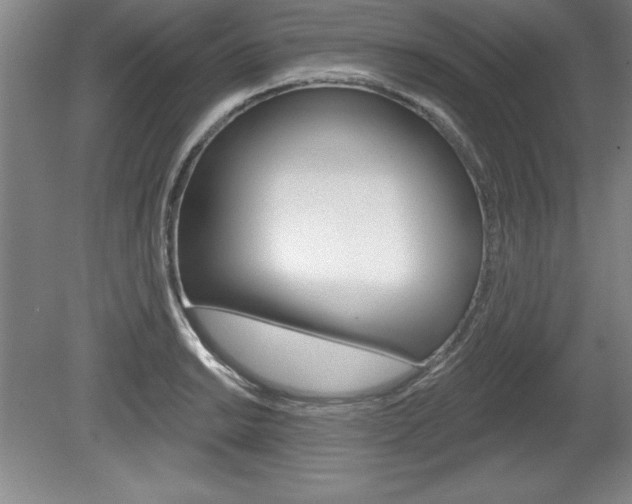 X0000078831038200611130926
