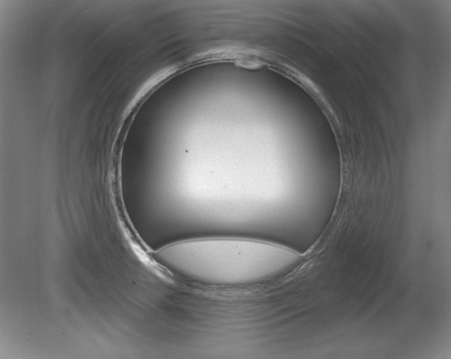 X0000078831042200611130927