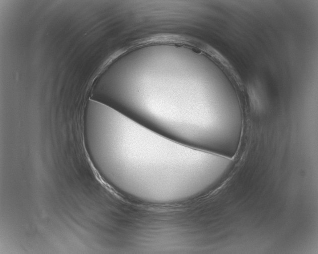 X0000078831049200611130927
