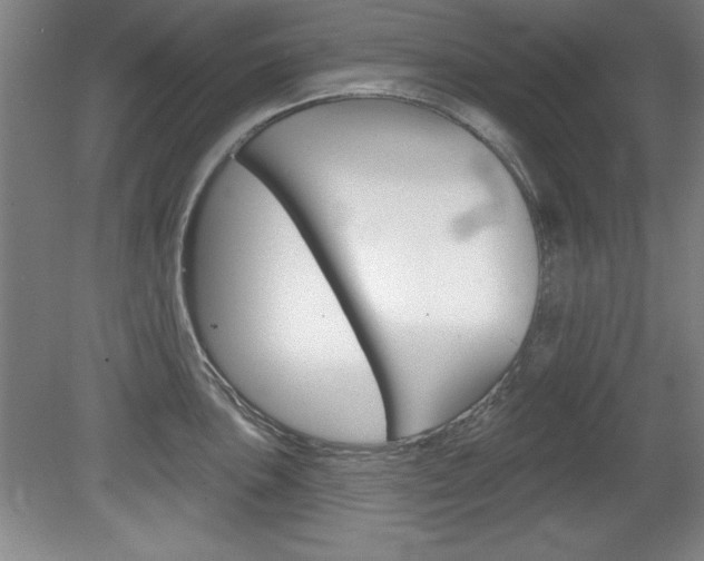 X0000078831051200611130927