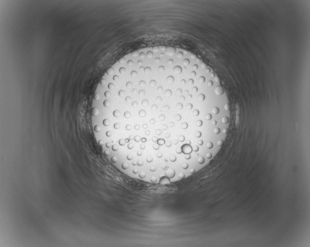 X0000078831059200611130926