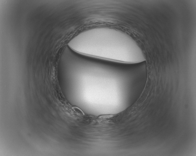X0000078831061200611130926