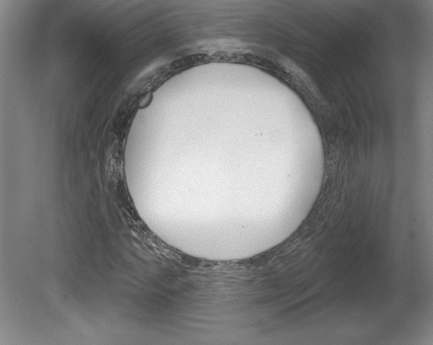X0000078831063200611130926