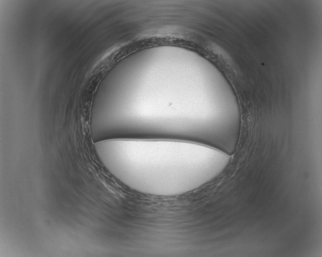 X0000078831064200611130926