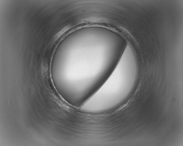 X0000078831065200611130926