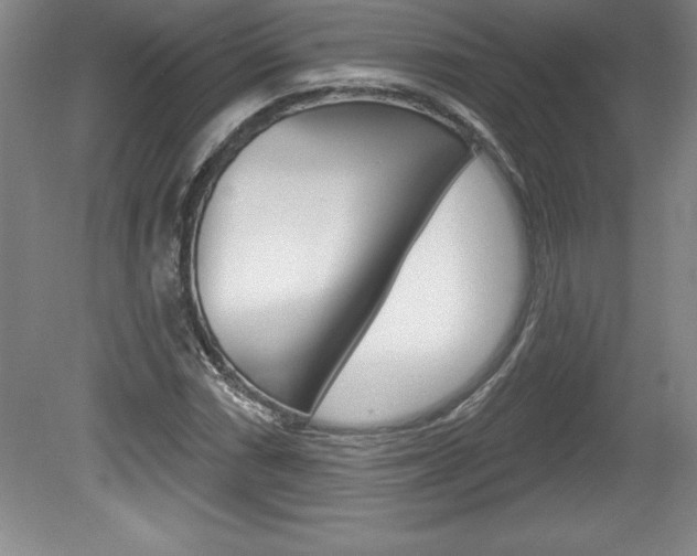 X0000078831066200611130926