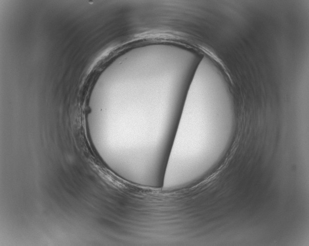 X0000078831067200611130926