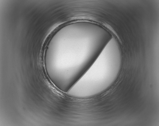 X0000078831068200611130926