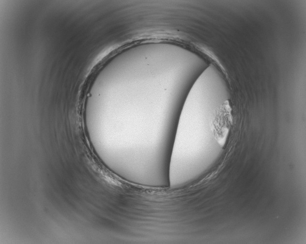 X0000078831071200611130926