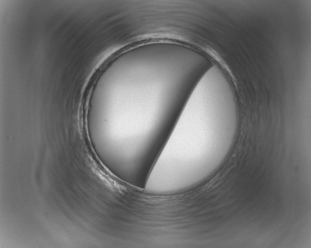 X0000078831076200611130926