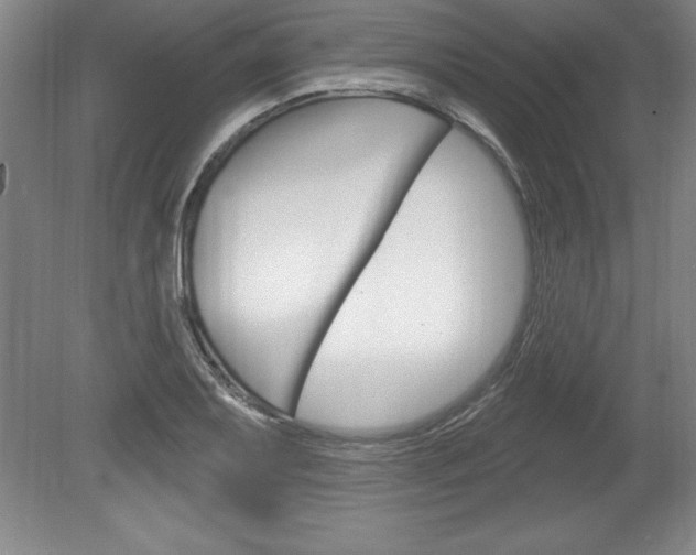 X0000078831079200611130926