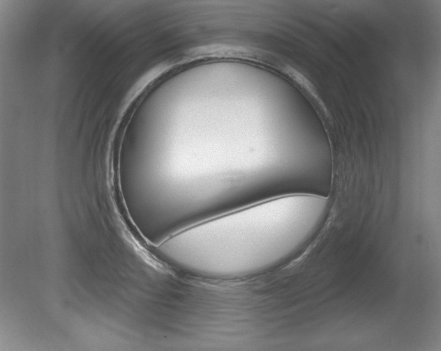 X0000078831082200611130926