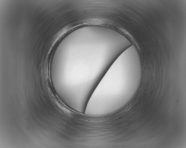 X0000078831083200611130926