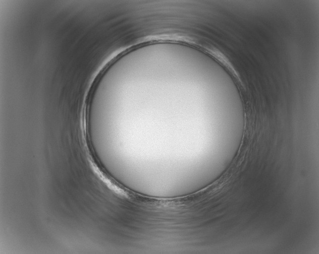 X0000078831084200611130926