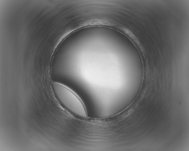 X0000078831089200611130925
