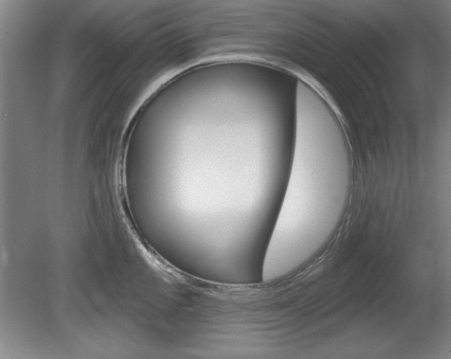 X0000078831101200611130925