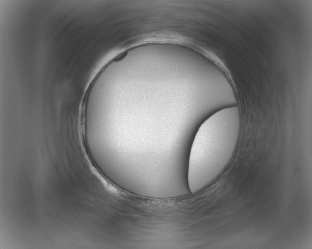 X0000078831103200611130925