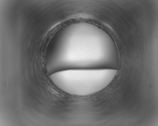 X0000078831112200611130924