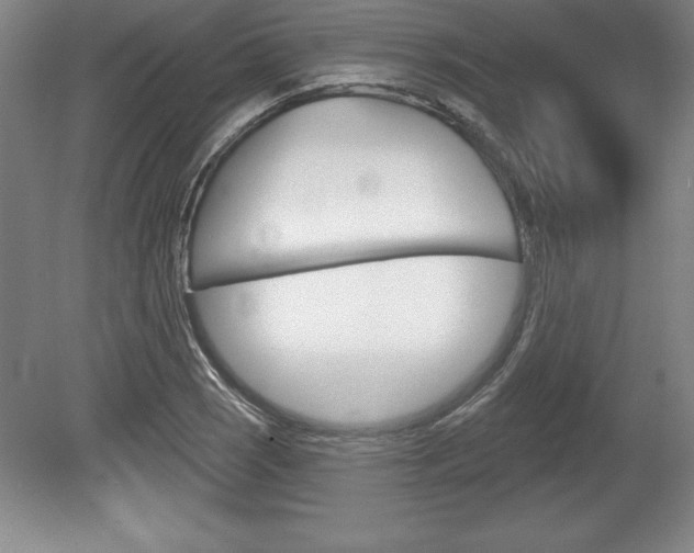 X0000078831121200611130925