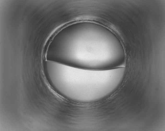X0000078831124200611130925
