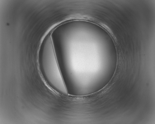 X0000078831128200611130925