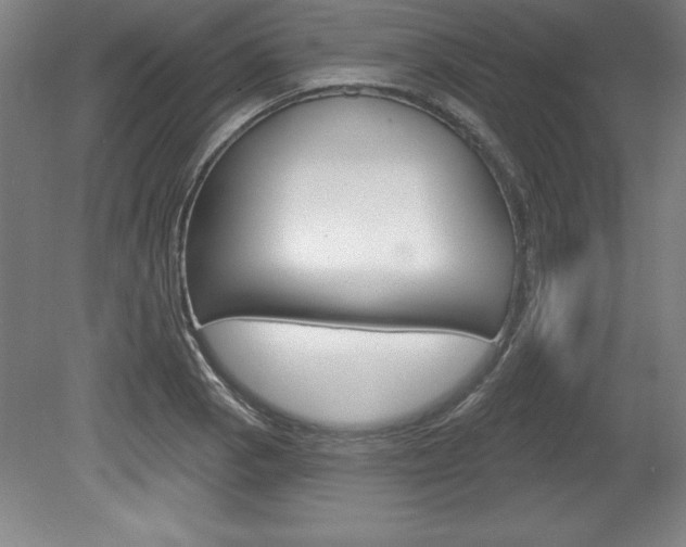 X0000078831129200611130925