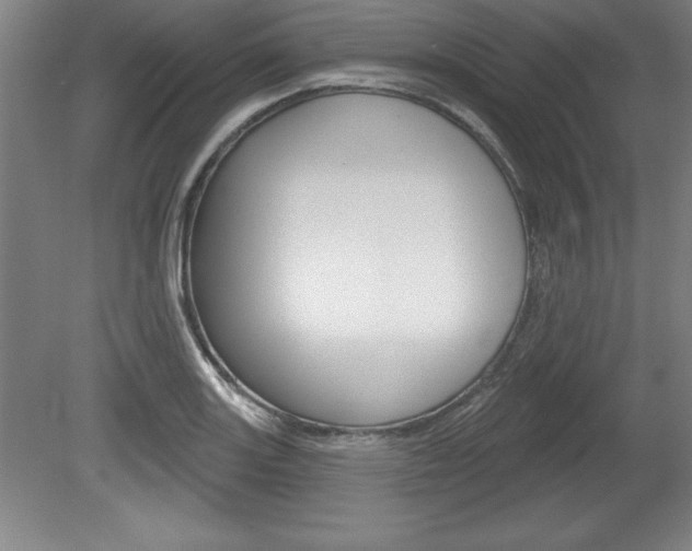 X0000078831131200611130925