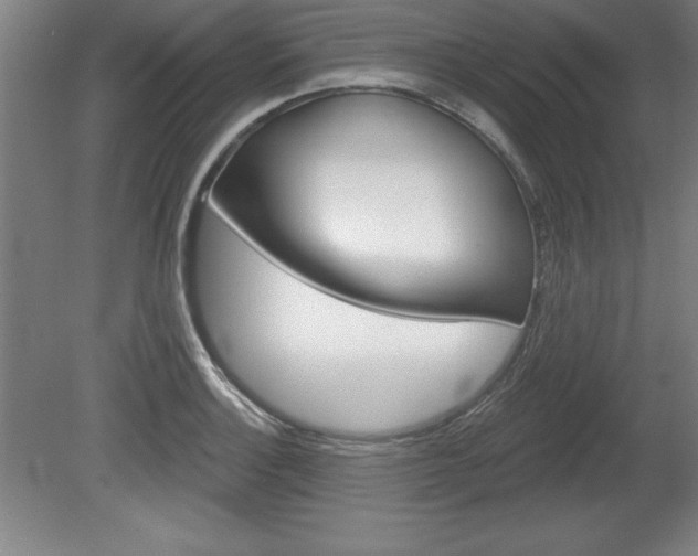 X0000078831132200611130925