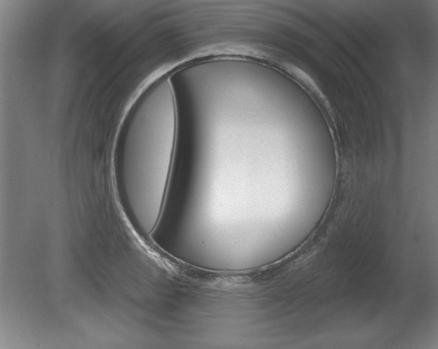 X0000078831133200611130925