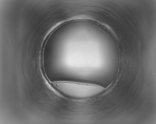 X0000078831134200611130925