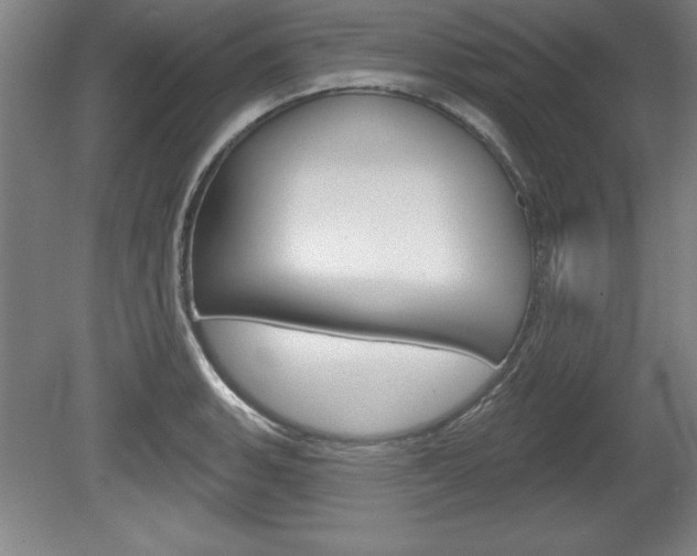 X0000078831135200611130925