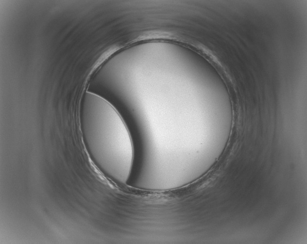 X0000078831137200611130925
