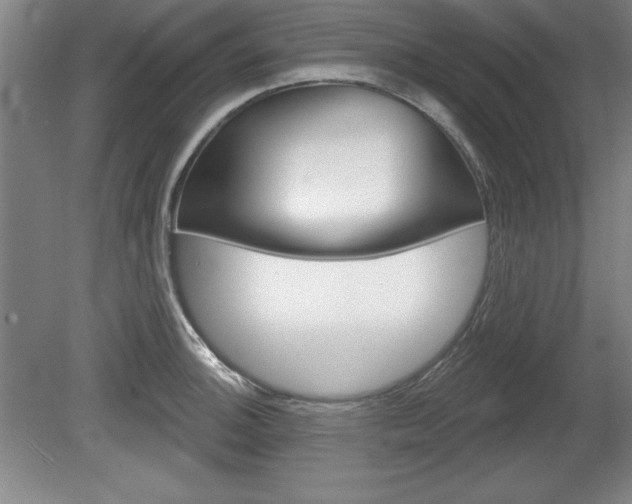 X0000078831140200611130925