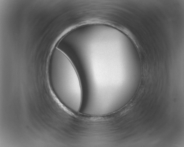X0000078831142200611130925