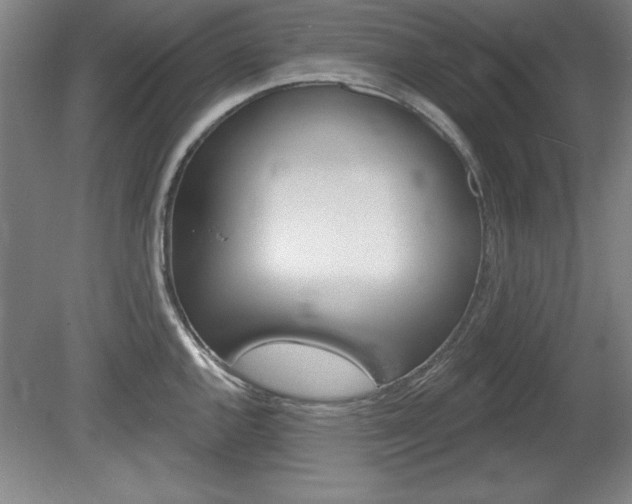 X0000078831144200611130925